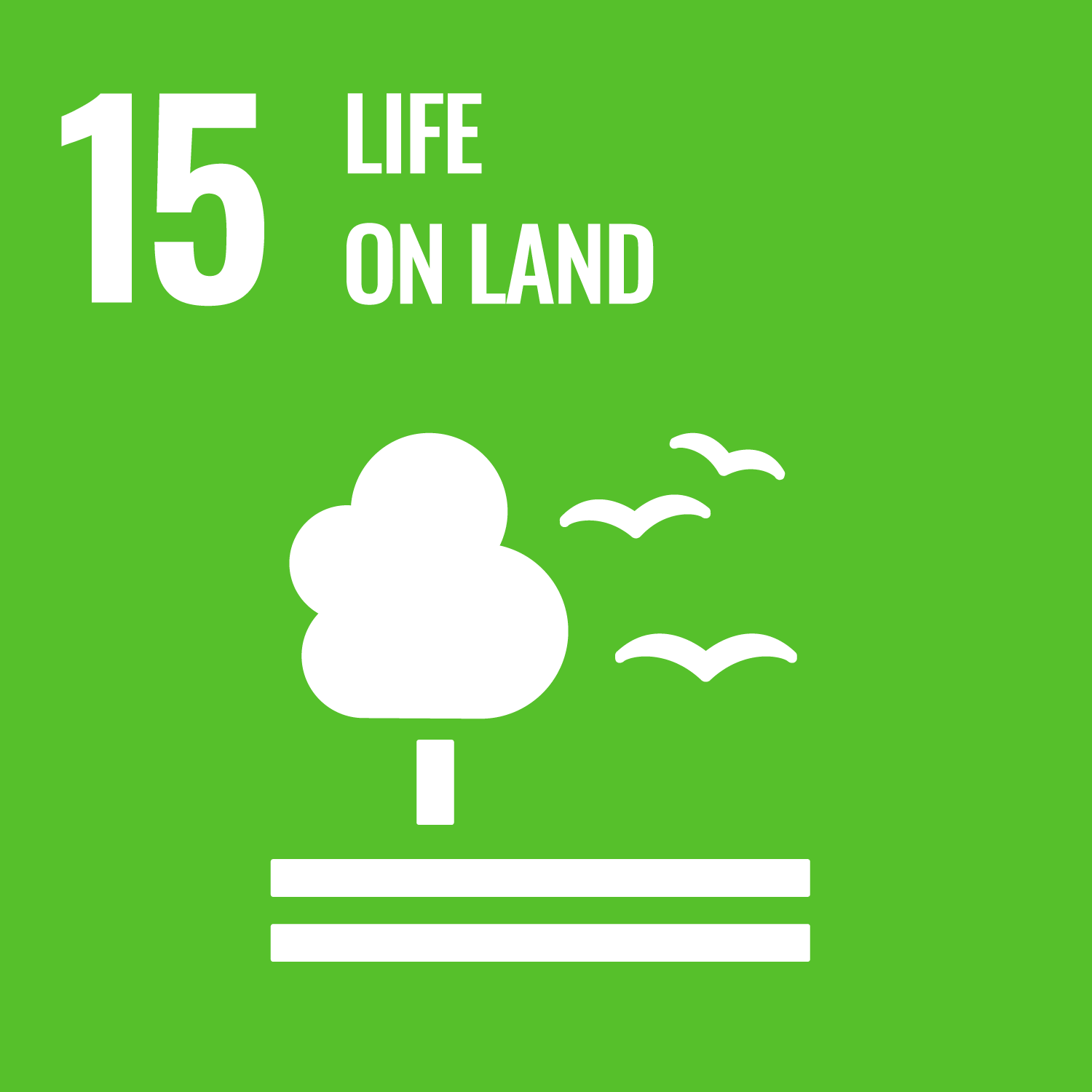 SDG 15: Life on Land.