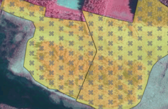 Kuvakaappaus Vipusta, Yllä: Harmaa kuvio keltaisella pohjalla: Ympäristösopimus lausunto